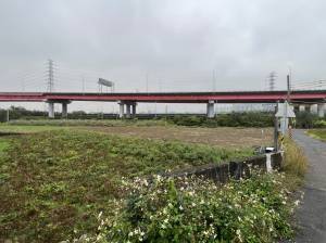 台灣房屋民權加盟店 - 南科區段徵收I區農地